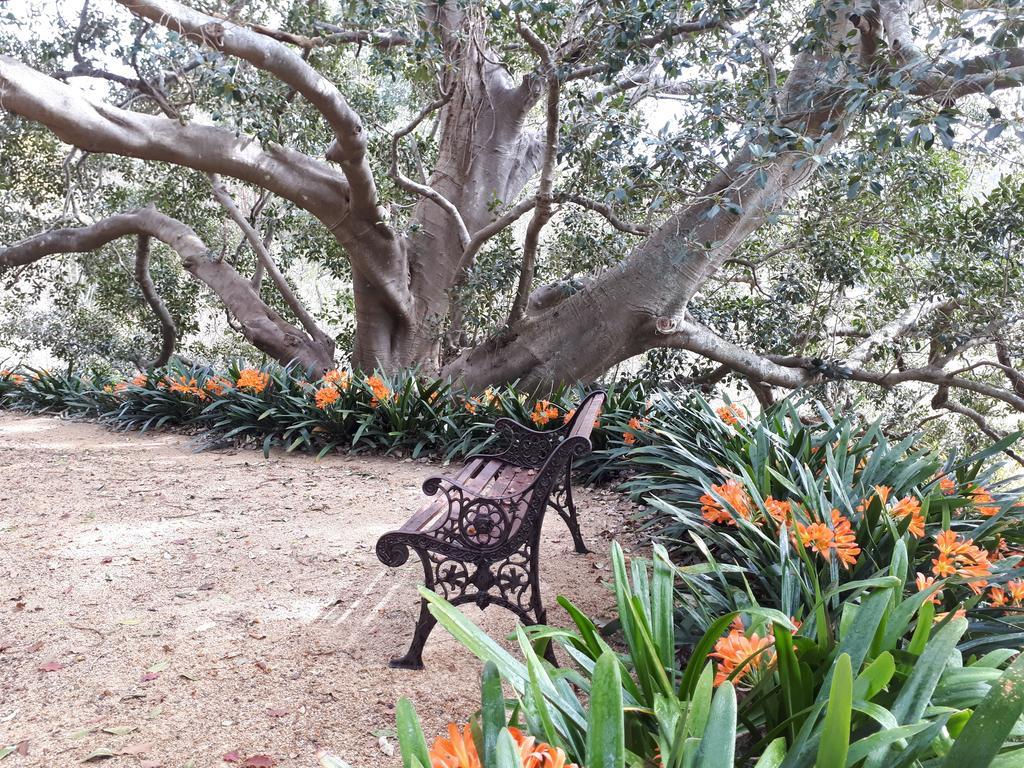 Plynlimmon-1860 Heritage Cottage Or Double Room With Orchard View Kurrajong Extérieur photo