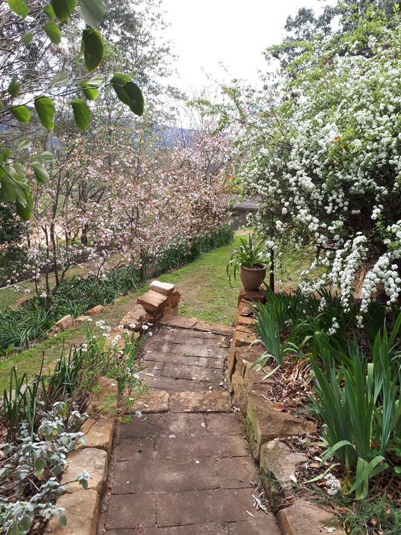 Plynlimmon-1860 Heritage Cottage Or Double Room With Orchard View Kurrajong Extérieur photo